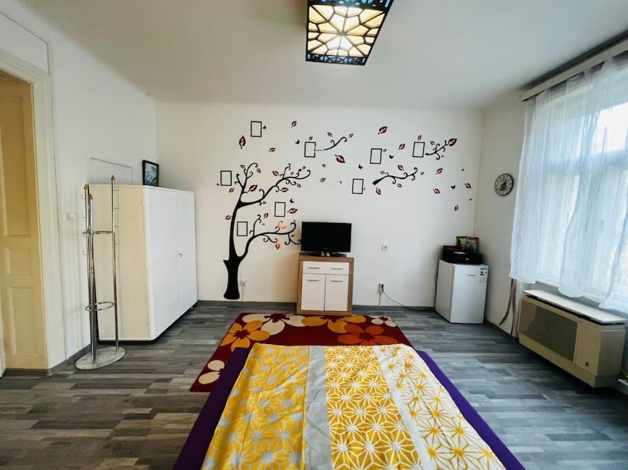 Szeged Apartment Eksteriør billede